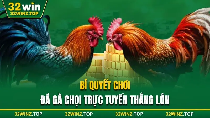 Bí quyết chơi đá gà chọi 32win thắng lớn