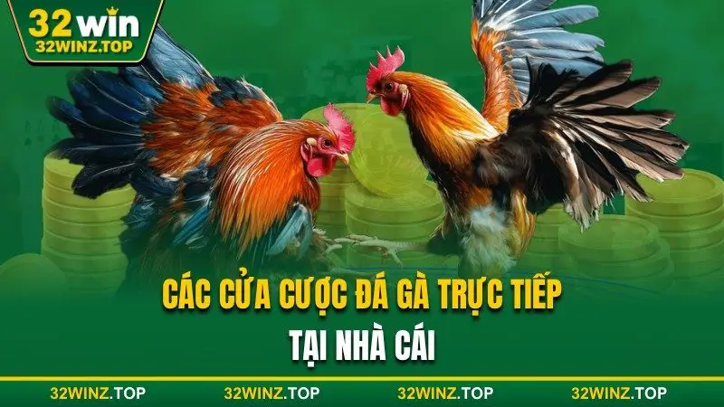 Cửa cược đá gà trực tiếp 32win