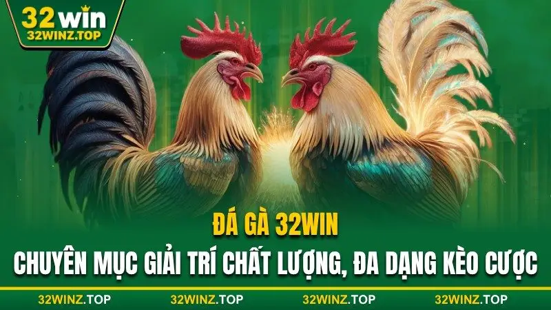 Đá gà 32win giải trí chất lượng đa dạng kèo