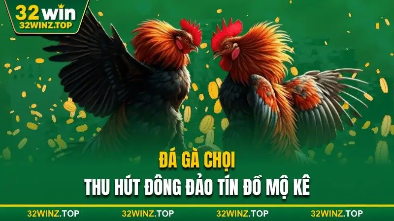 Đá gà chọi 32win thu hút đông đảo tín đồ