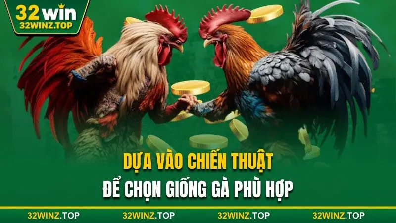 Dựa vào chiến thuật để chọn gà phù hợp