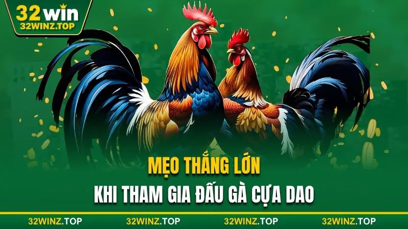 Mẹo thắng lớn khi tham gia đấu gà 32win