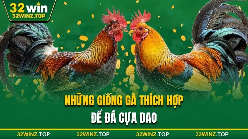 Những giống gà 32winthích hợp để đá