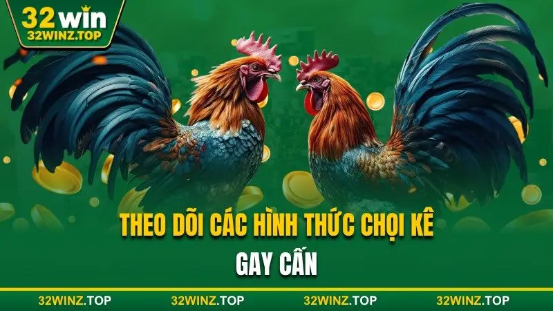Theo dõi hình thức chọi kê 32win