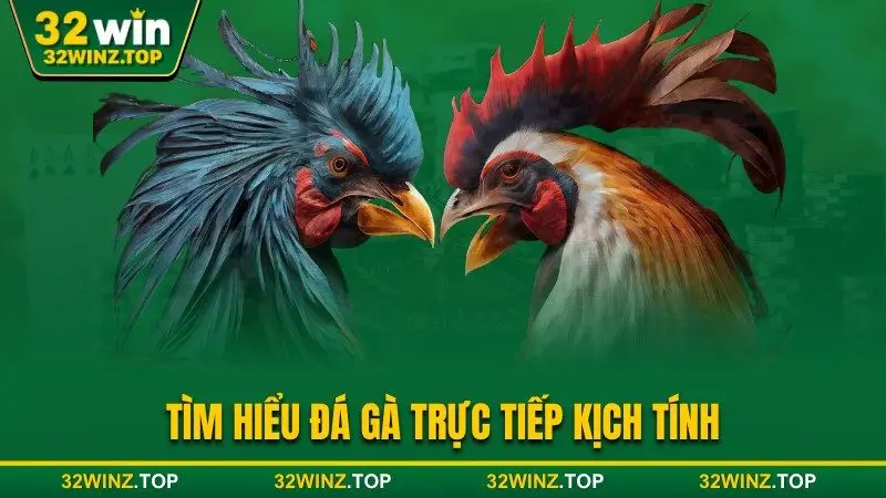 Tìm hiểu đá gà 32win